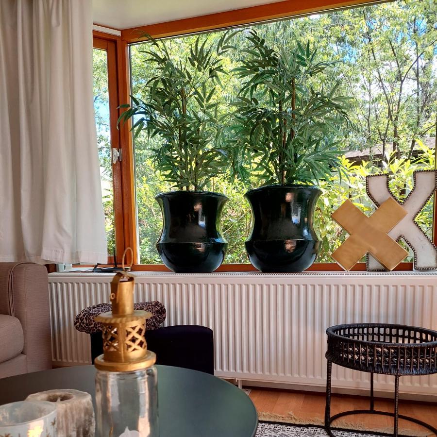 Heerlijk Chalet In Prachtige Natuur. Doornspijk 外观 照片